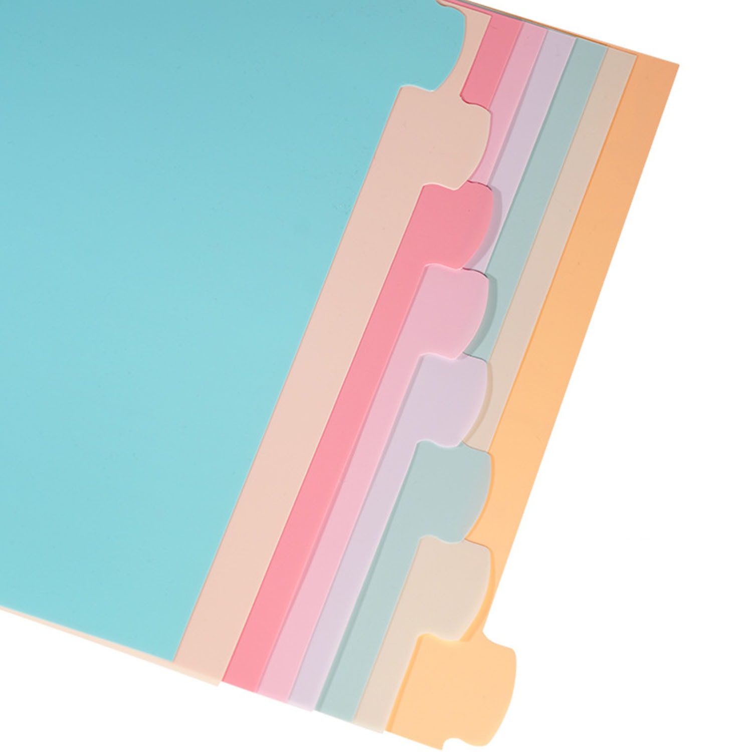 Separadores de 8 pestañas para - Paper Punch 3 Hole reseña y precio